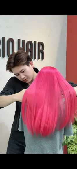 Tin tức